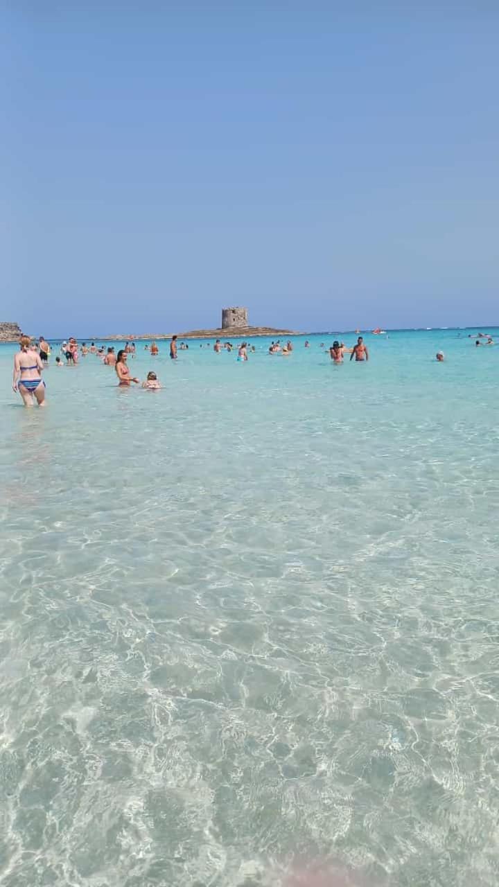 B&B Il Giardinetto אלגהרו מראה חיצוני תמונה